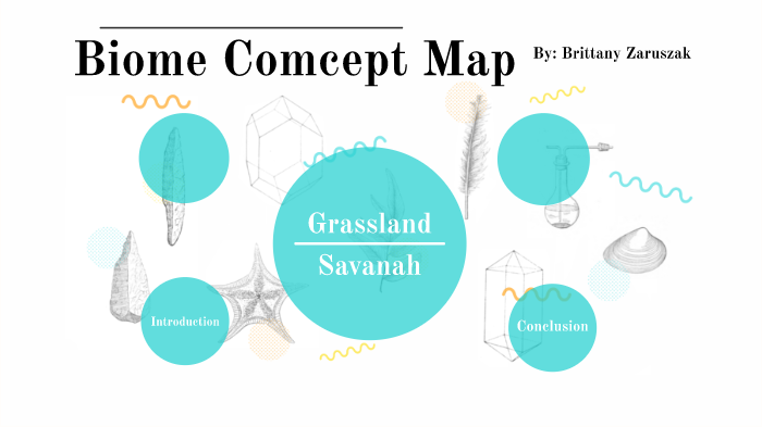 biome-concept-map-by-brittany-zaruszak