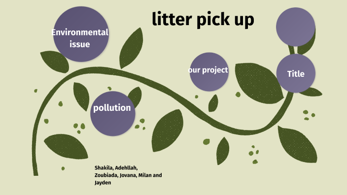 litter-pick-up-by-shakila-mohammadi