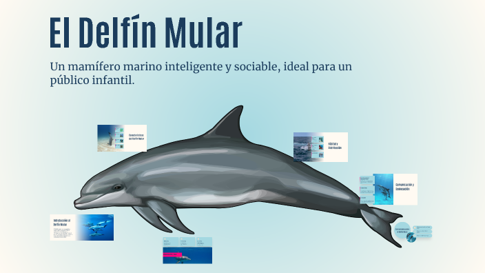 El Delfín Mular by Elena ElenaRP on Prezi