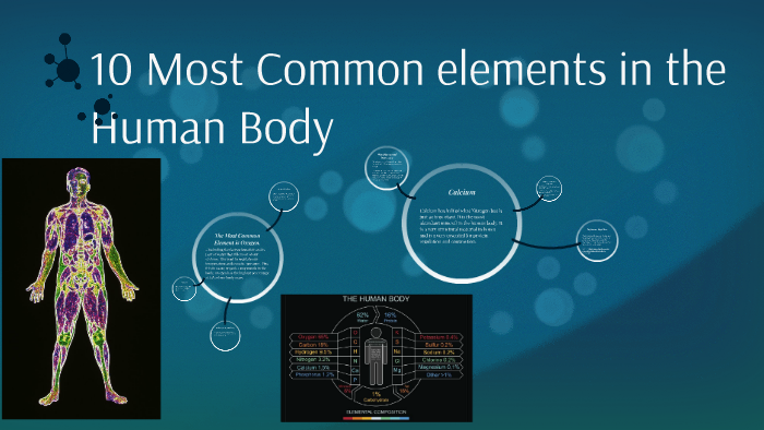 10-most-common-elements-in-the-human-body-by-alex-cannon