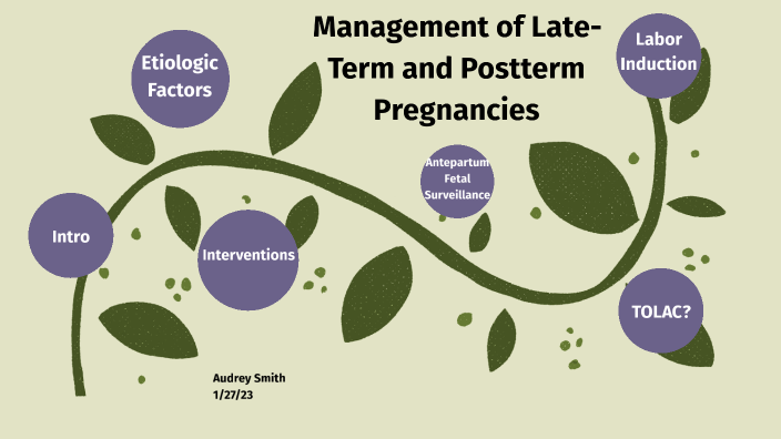 Management Of Late Term And Postterm Pregnancies By Audrey Smith On Prezi