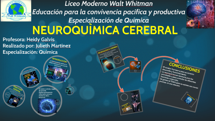 NEUROQUIMICA CEREBRAL by Julieth Martinez on Prezi