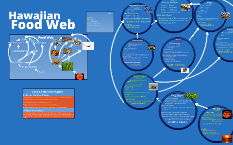 Food Web Based on Small Asian Mongoose by Bryanna D on Prezi