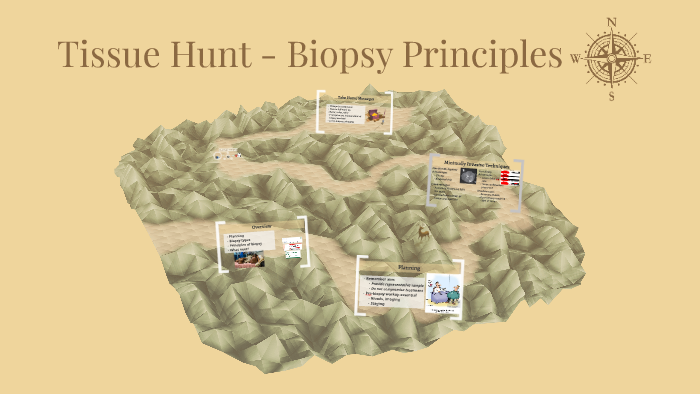 Tissue Hunt Biopsy Principles By Chris Conyard