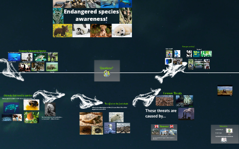 Endangered species awareness! by kojel raniga on Prezi