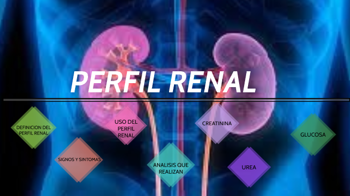 PERFIL RENAL by Lissett Melchor Cabrejos on Prezi