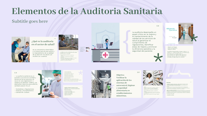 Elementos de la Auditoria Sanitaria by astrid gallegos on Prezi