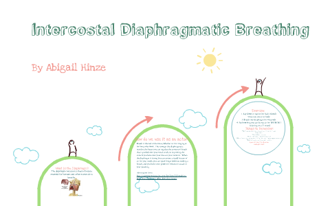 intercostal-diaphragmatic-breathing-by-abigail-hinze-on-prezi