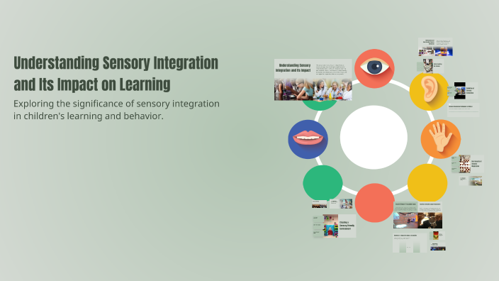 Understanding Sensory Integration and Its Impact on Learning by ...