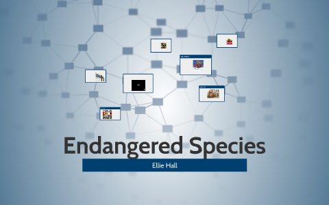 Endangered Species by on Prezi