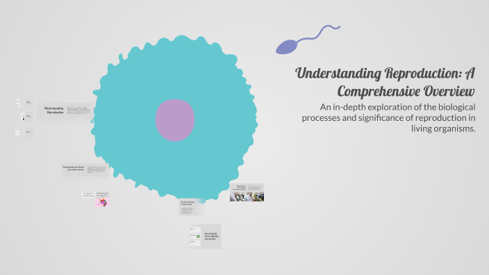 Understanding Reproduction Understanding Reproduction: A Comprehensive Overview by Amielia ...