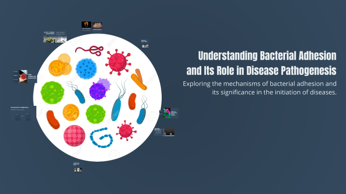 Adhesion Examples Infection Understanding Bacterial Adhesion and Its Role in Disease Pathogenesis ...