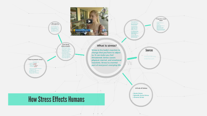 How Stress Effects Humans by emily sara on Prezi