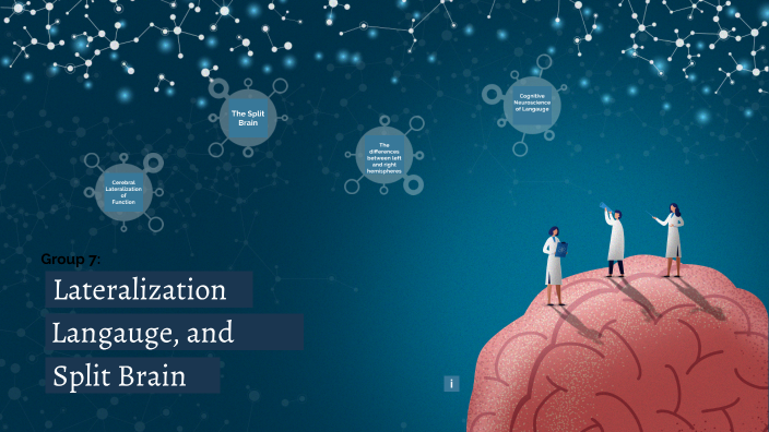 Lateralization Language And The Split Brain By Denaiy Amoin On Prezi