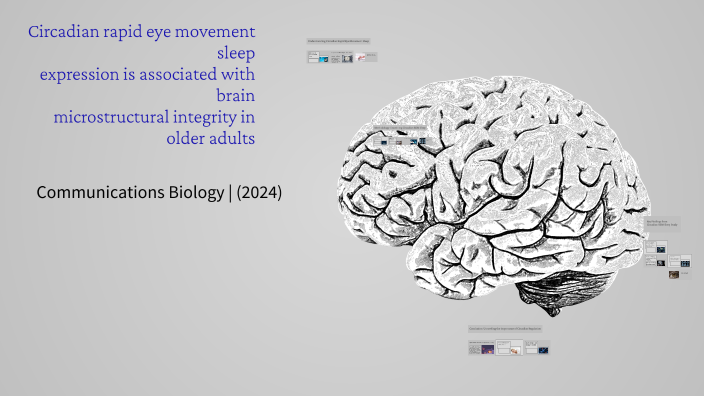 Circadian Rapid Eye Movement Sleep and Brain Microstructural Integrity ...