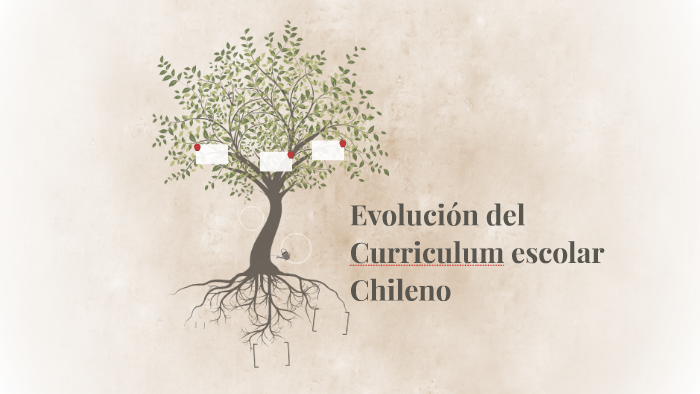 Evolución Del Curriculum Escolar Chileno By Paola Alejandra Mancilla ...