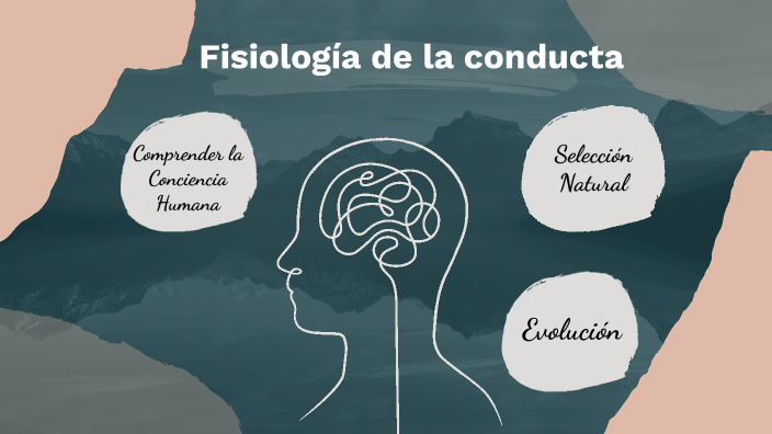 Fisiología de la Conducta by Carmen Tuñón on Prezi