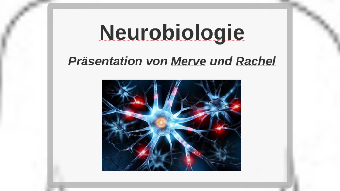 Neurobiologie Kurz by Merve Erdogan