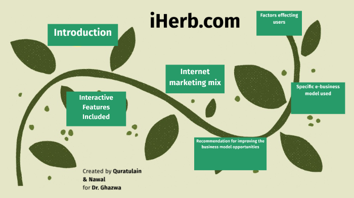 Digital Marketing Lessons from iHerb: SEO, Email Personalization, and Loyalty Programs