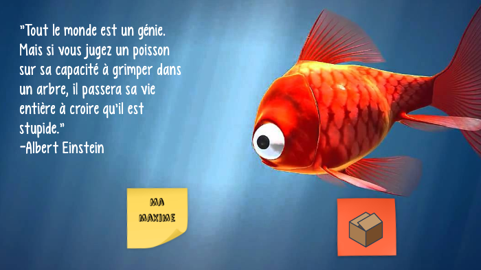 Quatre Varois jugés pour avoir disséqué un poisson vivant et jeté