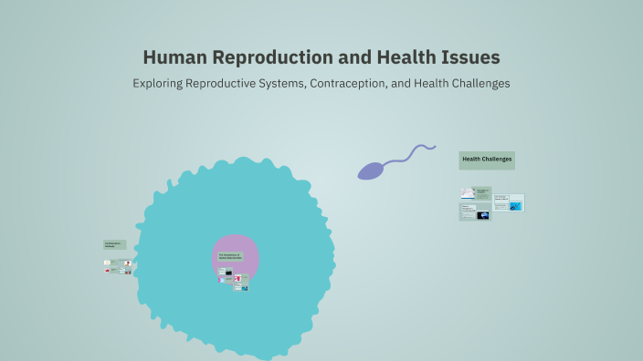 Harm Reproduction Human Reproduction and Health Issues by Danielle Haynes on Prezi