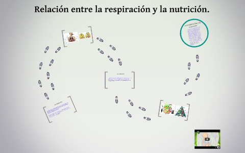 Relacion entre la respiracion y la nutricion. by abigail merino on Prezi