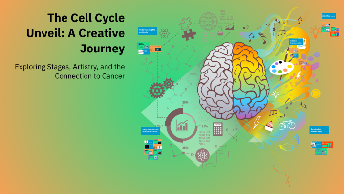 The Cell Cycle Unveil: A Creative Journey by fouza fjnneff on Prezi