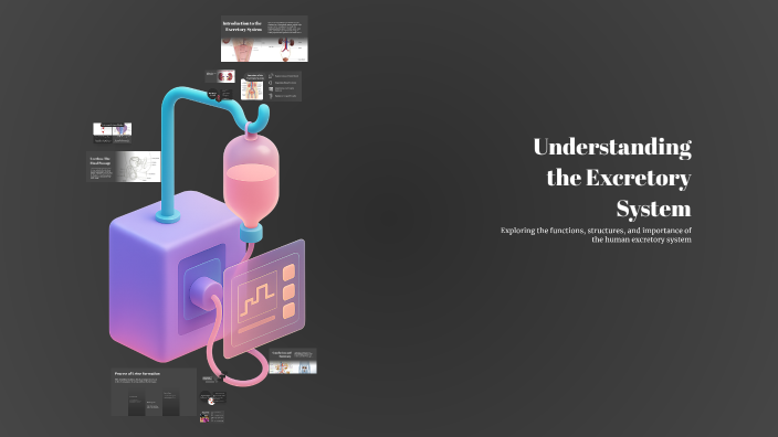 Understanding the Excretory System by Chitralekha Sharma on Prezi