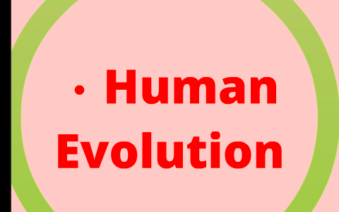 Human Evolution by andrea ryan on Prezi