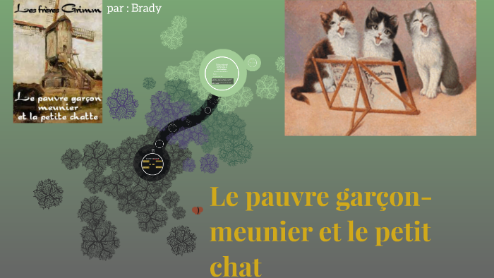 Le Pauvre Garcon Et Le Petit Chat By Brady Dab