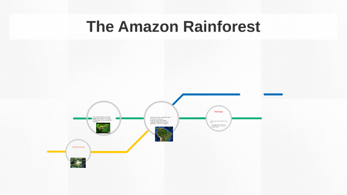 The Amazon Rainforest by A W on Prezi