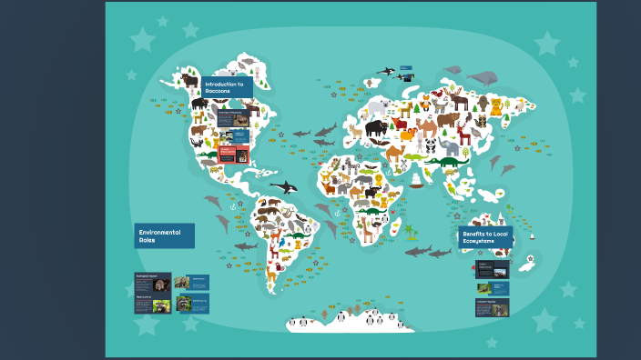Coco - World Studies Geography Raccoons by Coco Romero on Prezi