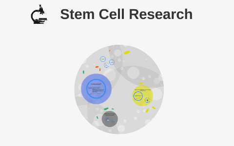 Stem Cell Research by Caitlin Whaley on Prezi