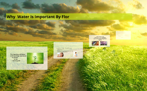 The Importance Of Water by flor perez on Prezi