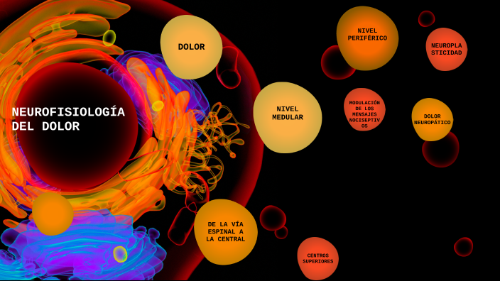 Neurofisiología Del Dolor By Milly Daniela Hernandez Lopez On Prezi