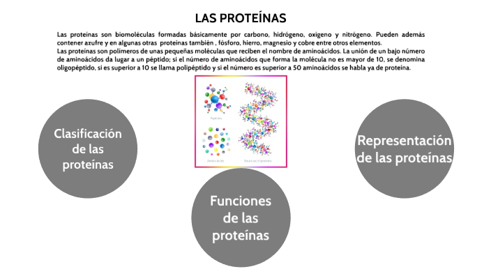 Las ProteÍnas By Vic Vaz