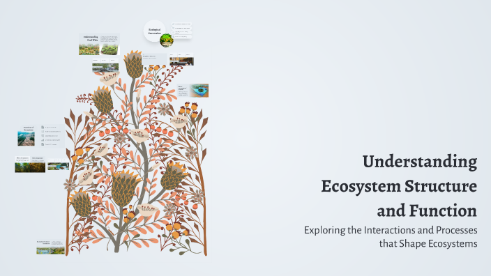 Understanding Ecosystem Structure and Function by Nikhil on Prezi