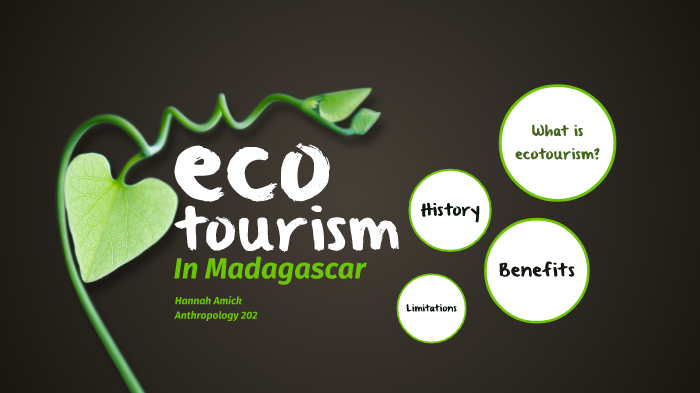 madagascar ecotourism case study
