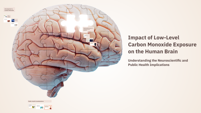 Impact of Low-Level Carbon Monoxide Exposure on the Human Brain by Lucy ...