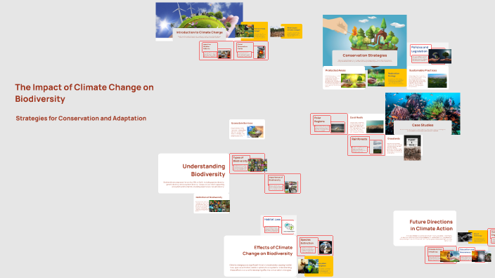 The Impact of Climate Change on Biodiversity by Pallavi K on Prezi