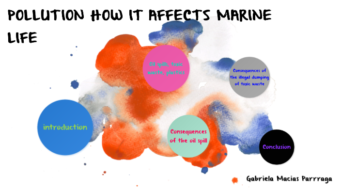 how pollution of the seas affects marine life by Gabriela Macias on Prezi
