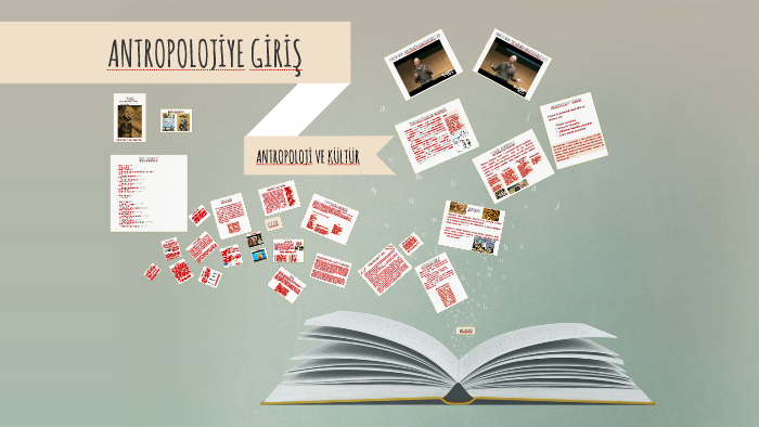 ANTROPOLOJI B L M NEDIR MEZUNLAR NE I YAPAR visual data 3