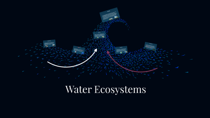 Water Ecosystems by Brenden Robertson on Prezi
