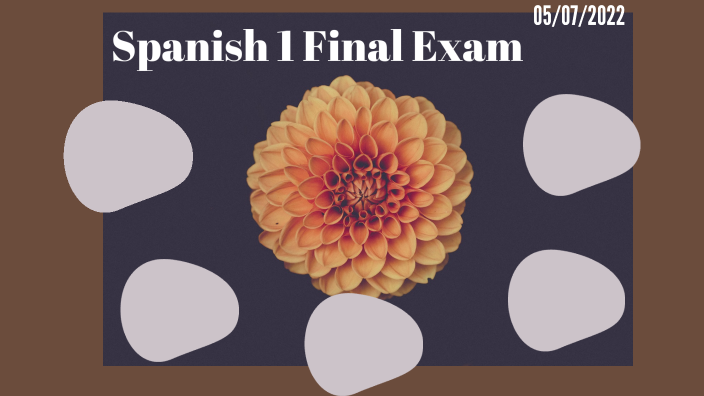 spanish-final-exam-by-miloni-dagin