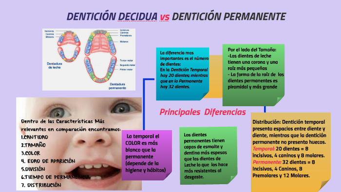 Dentición decidua Vs dentición permanente by Juan Tibad on Prezi