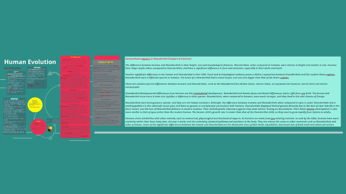 Human Evolution by Jarrel B. on Prezi