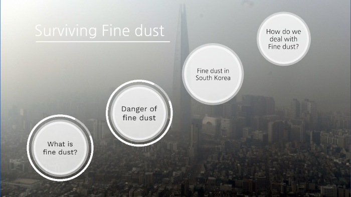 What Is Fine Dust