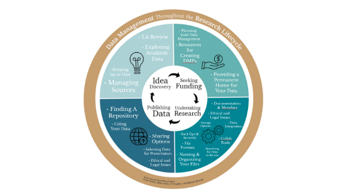 Data Management Throughout The Research Lifecycle Visual By Jordan 