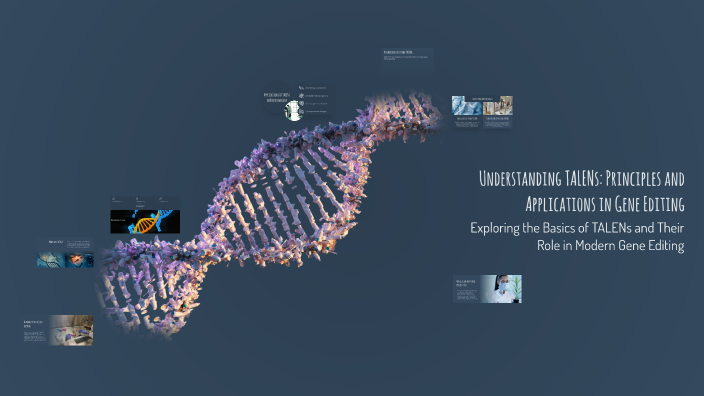 Talens Overview Understanding TALENs: Principles and Applications in Gene Editing by ...