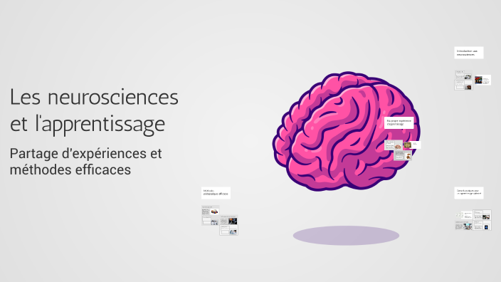 Les neurosciences et l'apprentissage by maryem haddar on Prezi